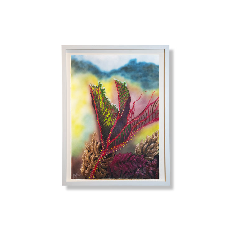 "Gunnera de Papallacta" By Carla Contreras