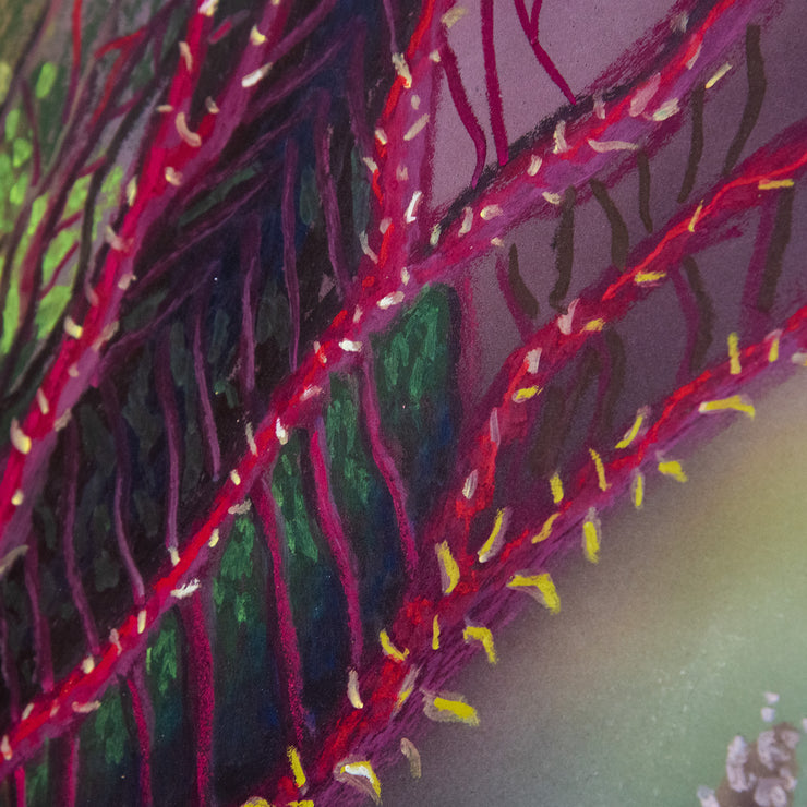 "Gunnera de Papallacta" By Carla Contreras