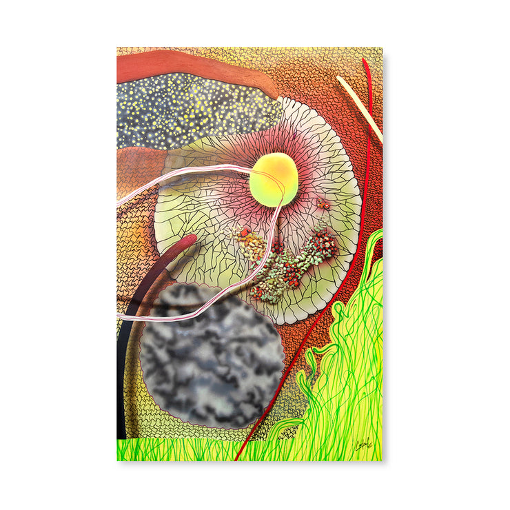 "Lecanora Primavera" by Carla Contreras