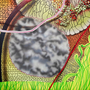 "Lecanora Primavera" by Carla Contreras