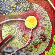 "Lecanora Primavera" by Carla Contreras